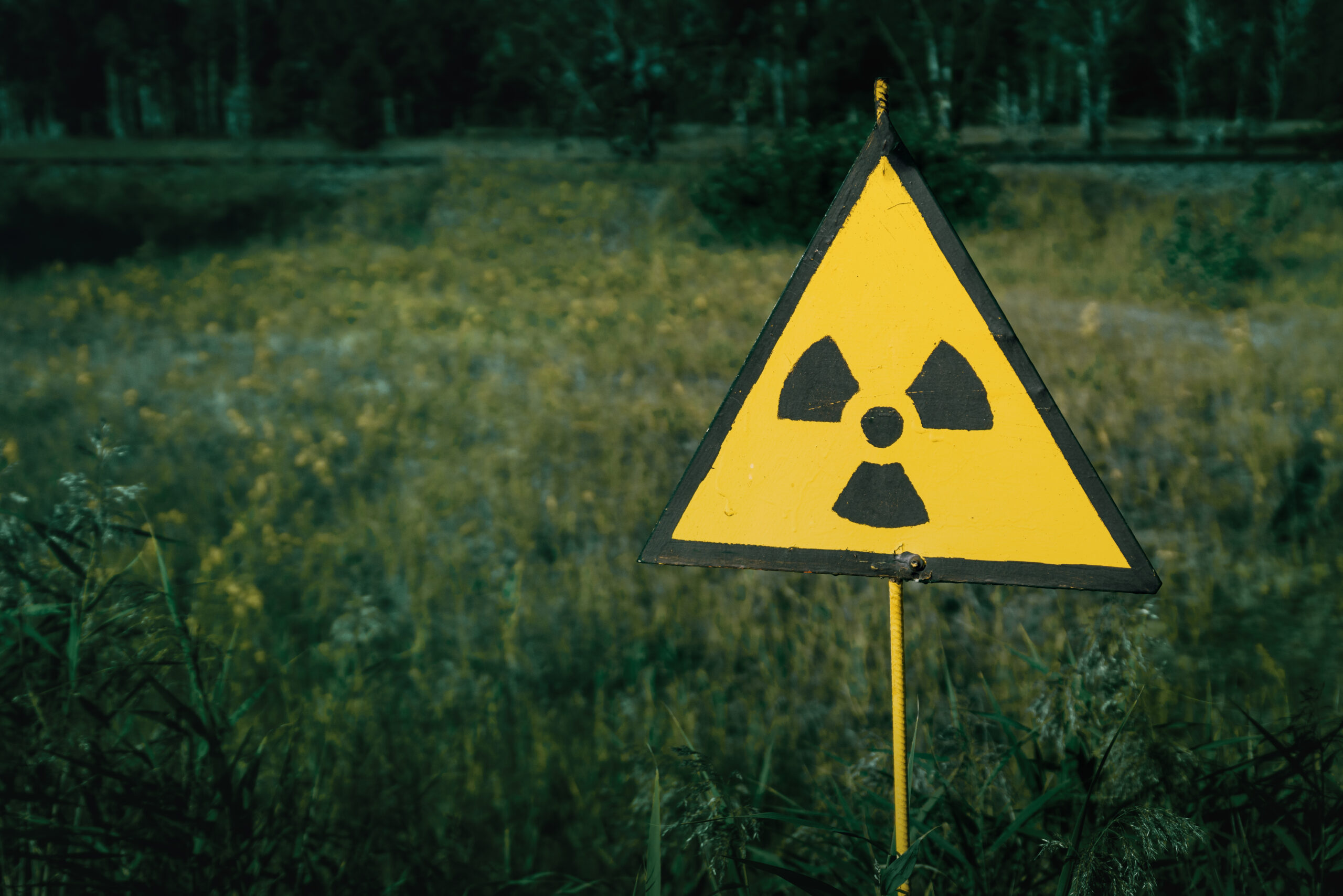 Radiation Hazard Sign in the Red Forest - Chernobyl Exclusion Zo
